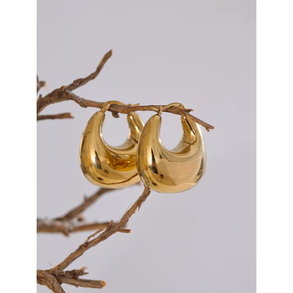 Gold hoop earrings on a branch against a light gray background